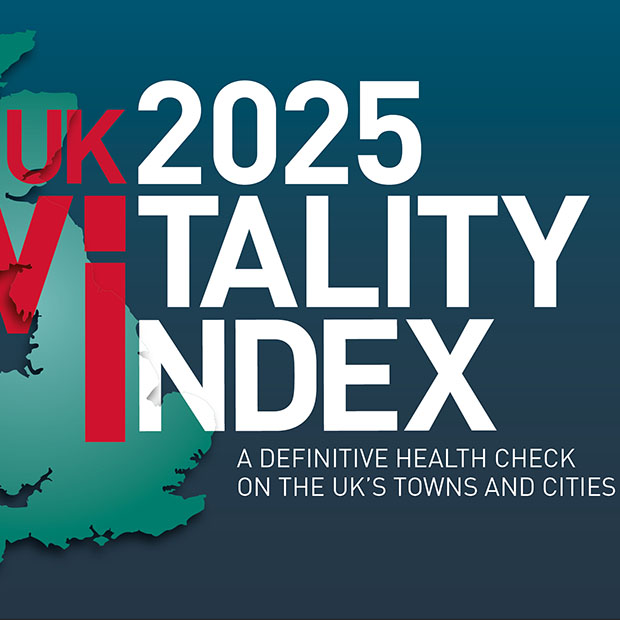 Vitality Index 2025 image
